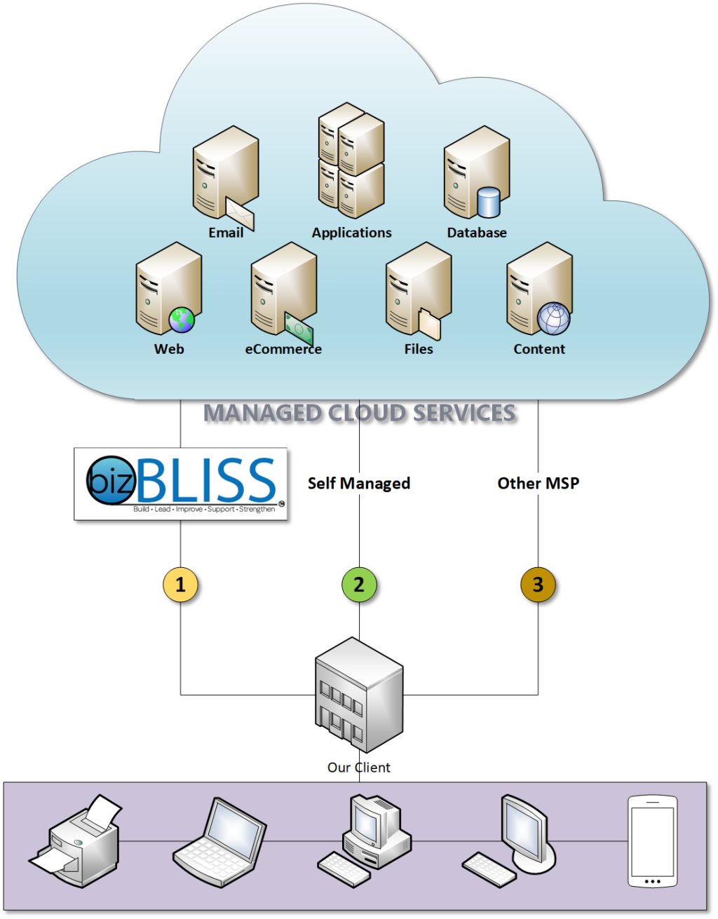 Overview of how bizbliss can provide cloud services right for our client